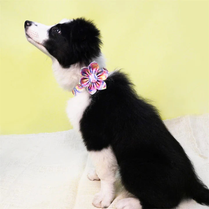The Perfect Accessory for Your Furry Friend: Dog Flower Collars