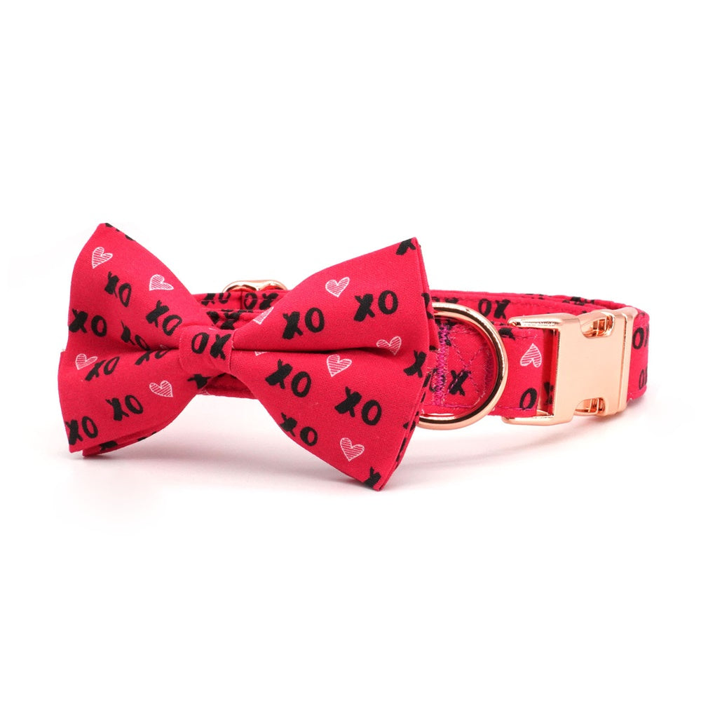 A Heartfelt XOXO Pet Gift: Valentine's Day Engraved Bowtie Dog Collar