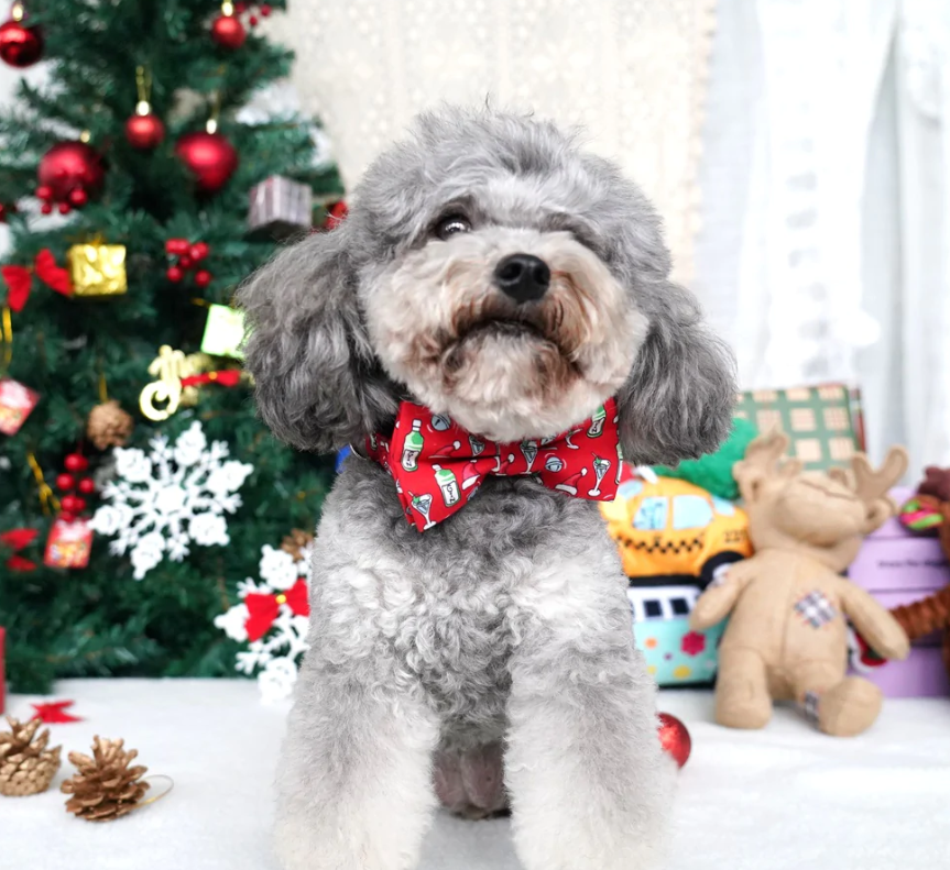 Dog Tie For Christmas Get Your Dog Into The Festive Spirit