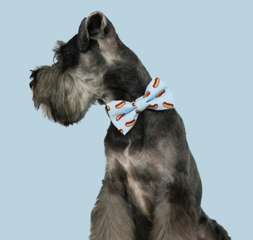 How To Choose Male Dog Bow Ties For Your Goggie?
