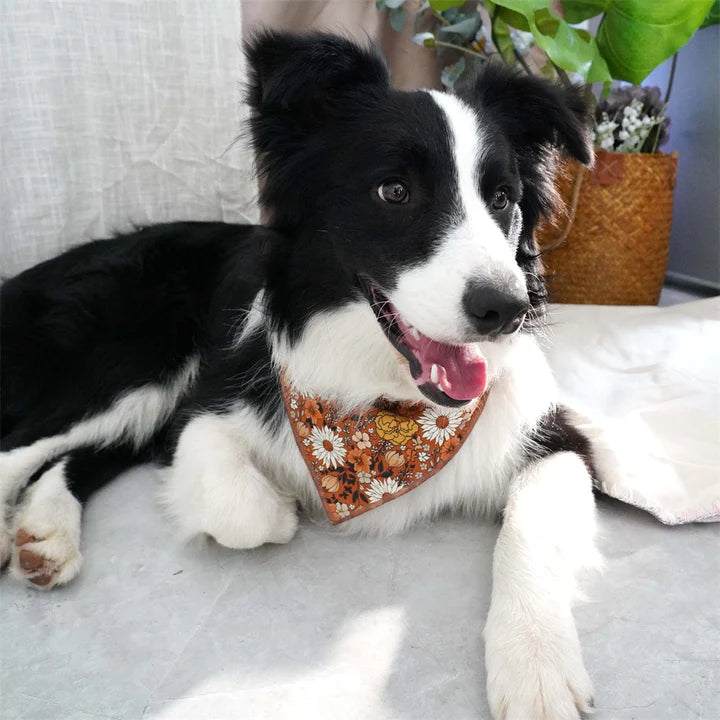 The Dog Bandana: A Fun and Stylish Way to Accessorize Your Pooch