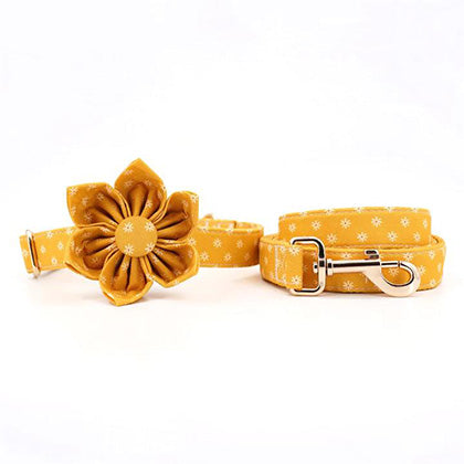 The Ideal Accessory for Your furry dog is a personalized daisy dog collar