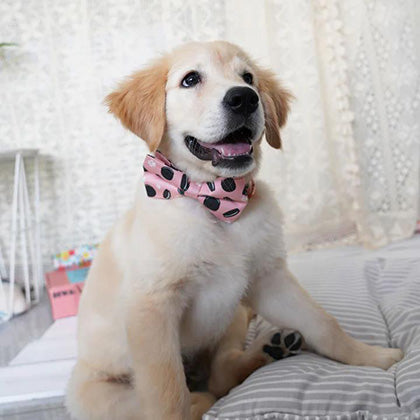 The puppy bow ties are worthy to buy