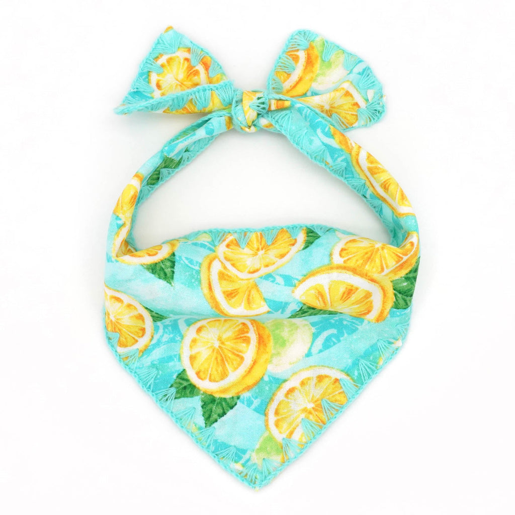 A Perfect Gift for the Lemon Design Dog Mom!