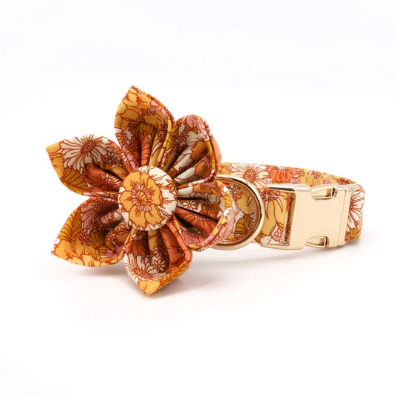 Beautify Your Pup with a Sunflower Dog Collar