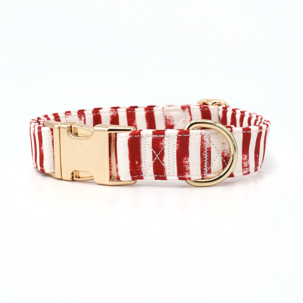 red stripe dog collar 