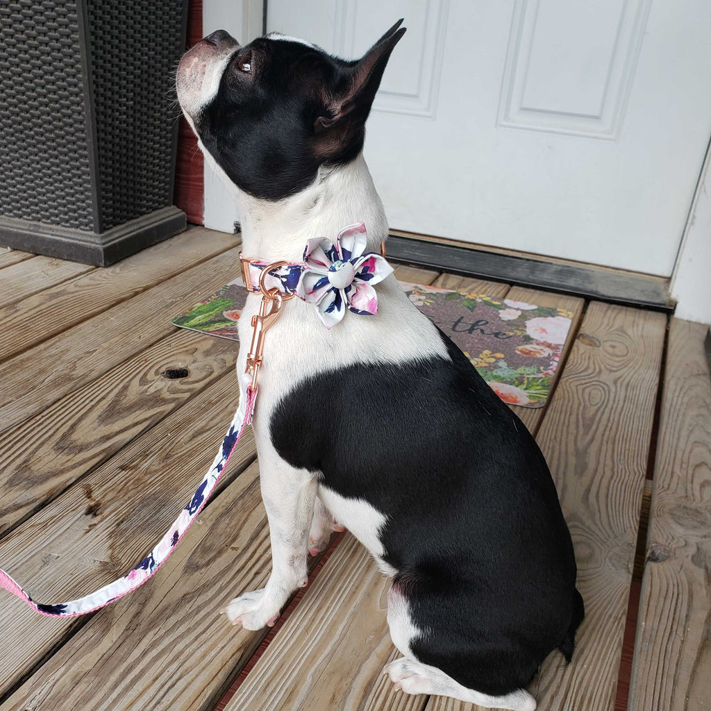 Personalized Dog Flower Collar Leash Pink Floral Design