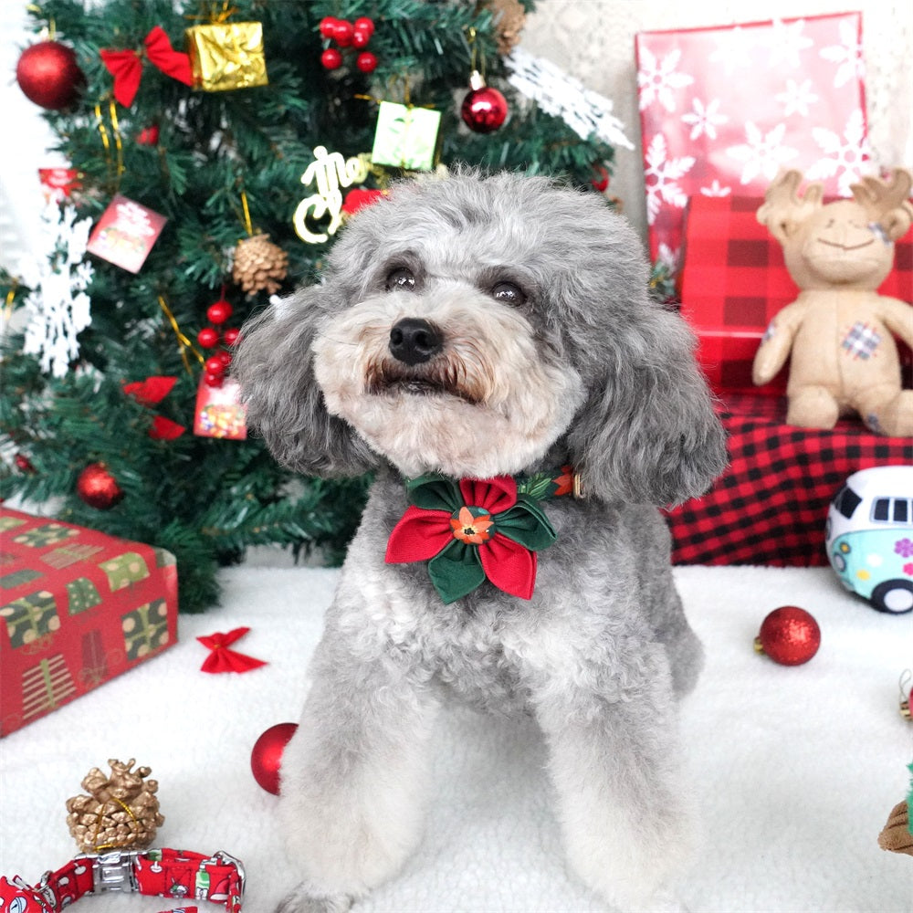 Christmas Holiday Dog Collar with detachable flower