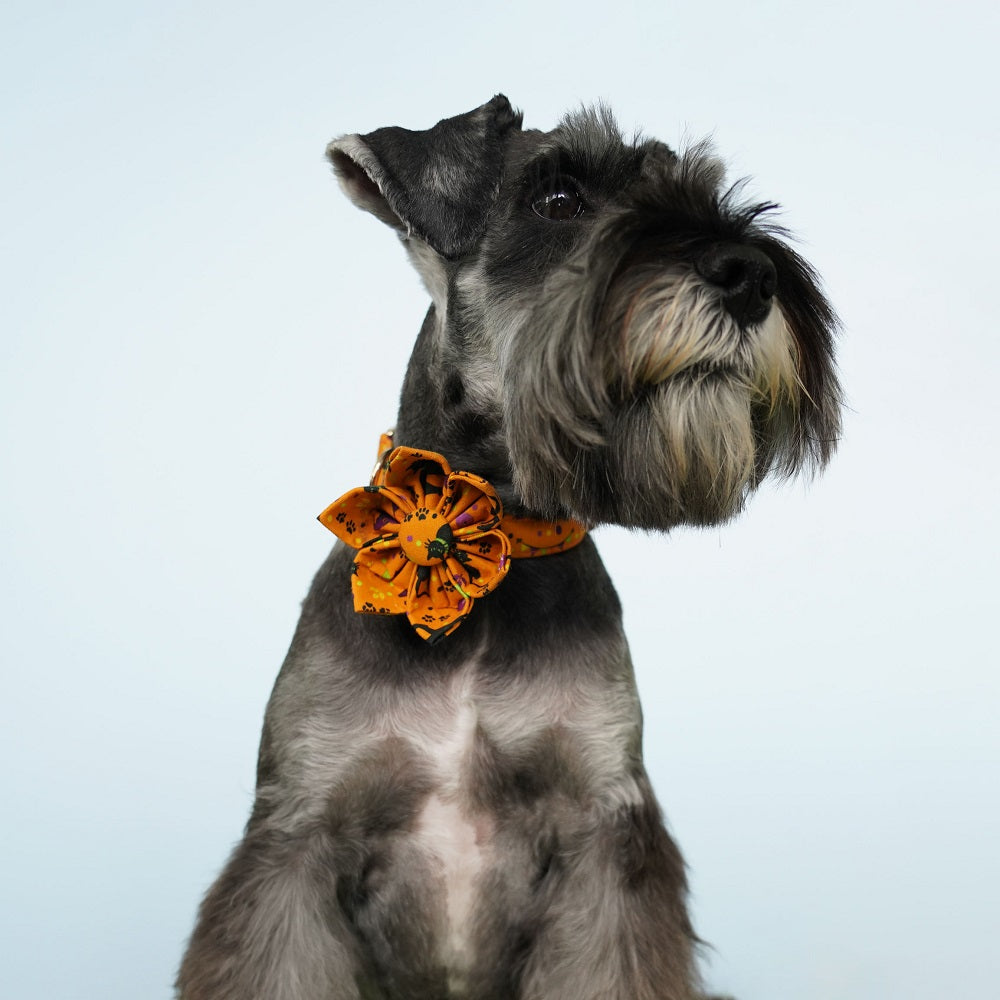 Halloween Pet Collar Personalized, Spook Orange Dog Flower Collar Dog Collar Flower