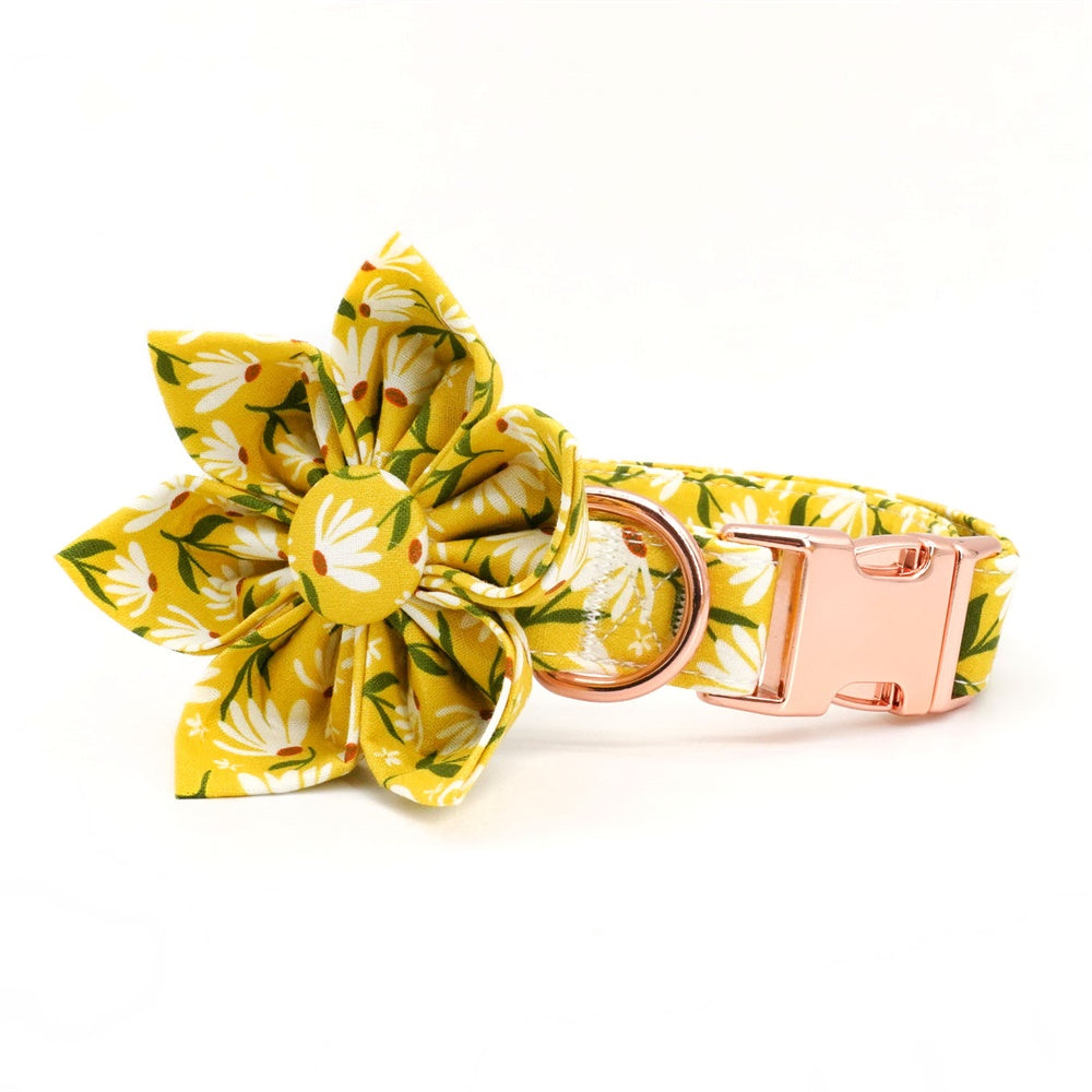 Daisy floral wild dog flower collar leash set