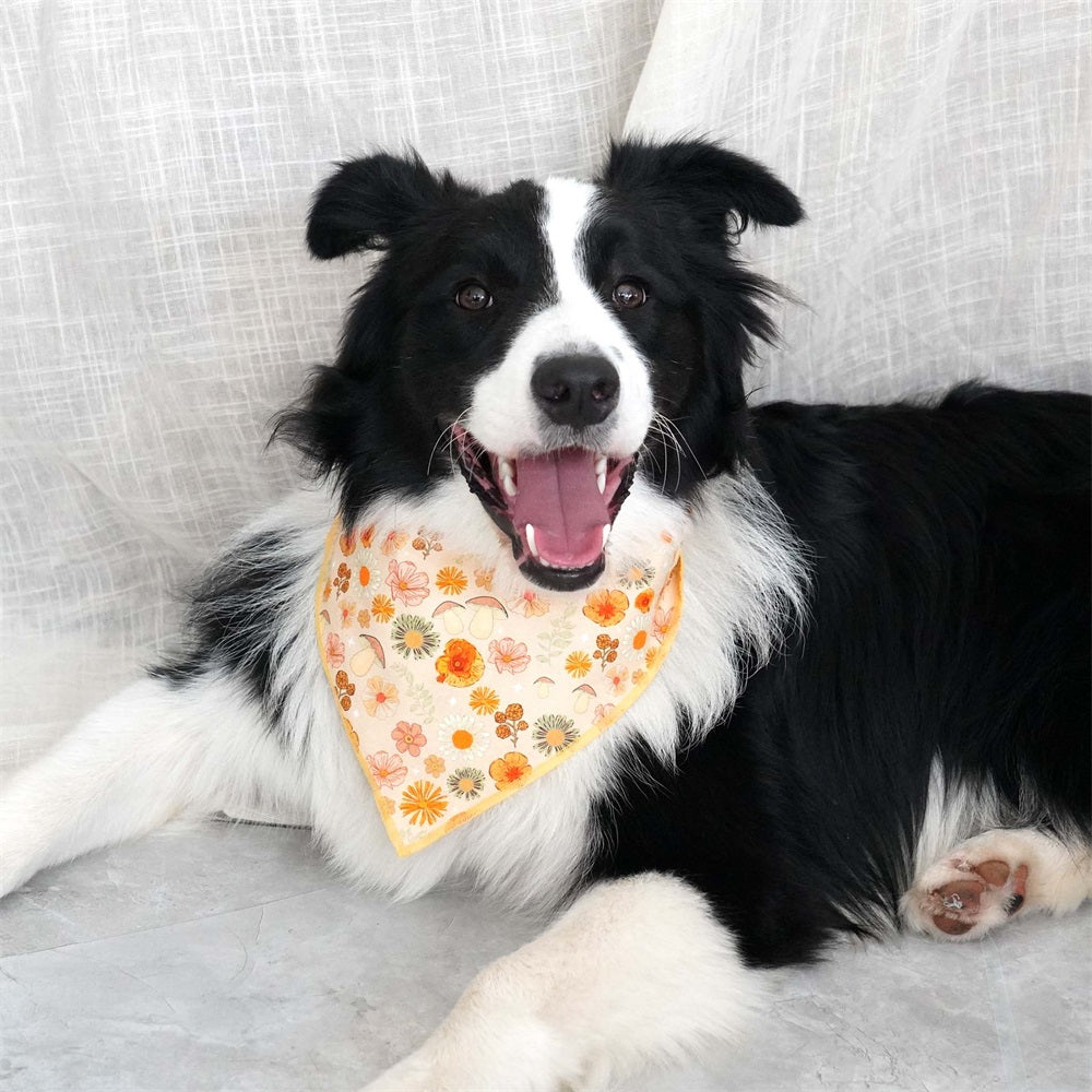 Autumn Floral Dog Bandana dog scarf
