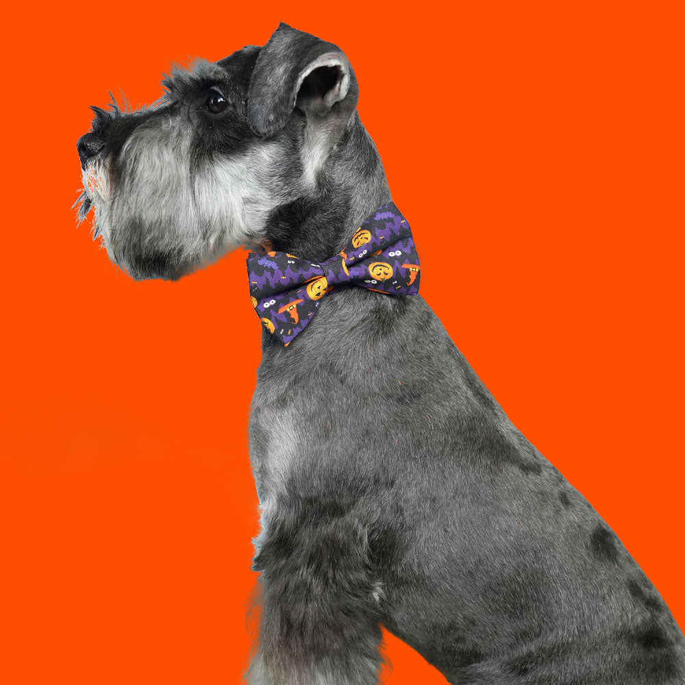 Happy Halloween Dog BowTie Collar for Holiday Gift