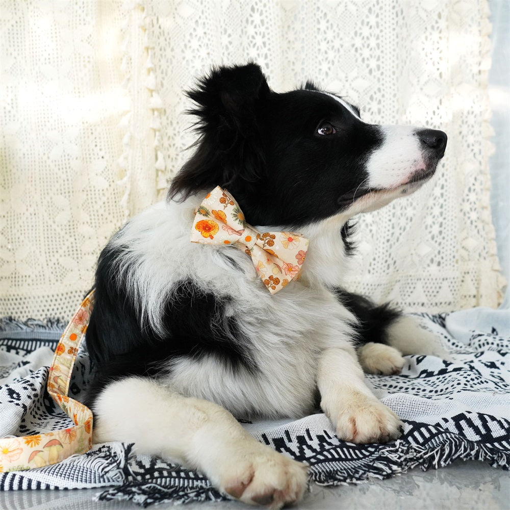 autumn floral dog bowtie collar  for your pet gift