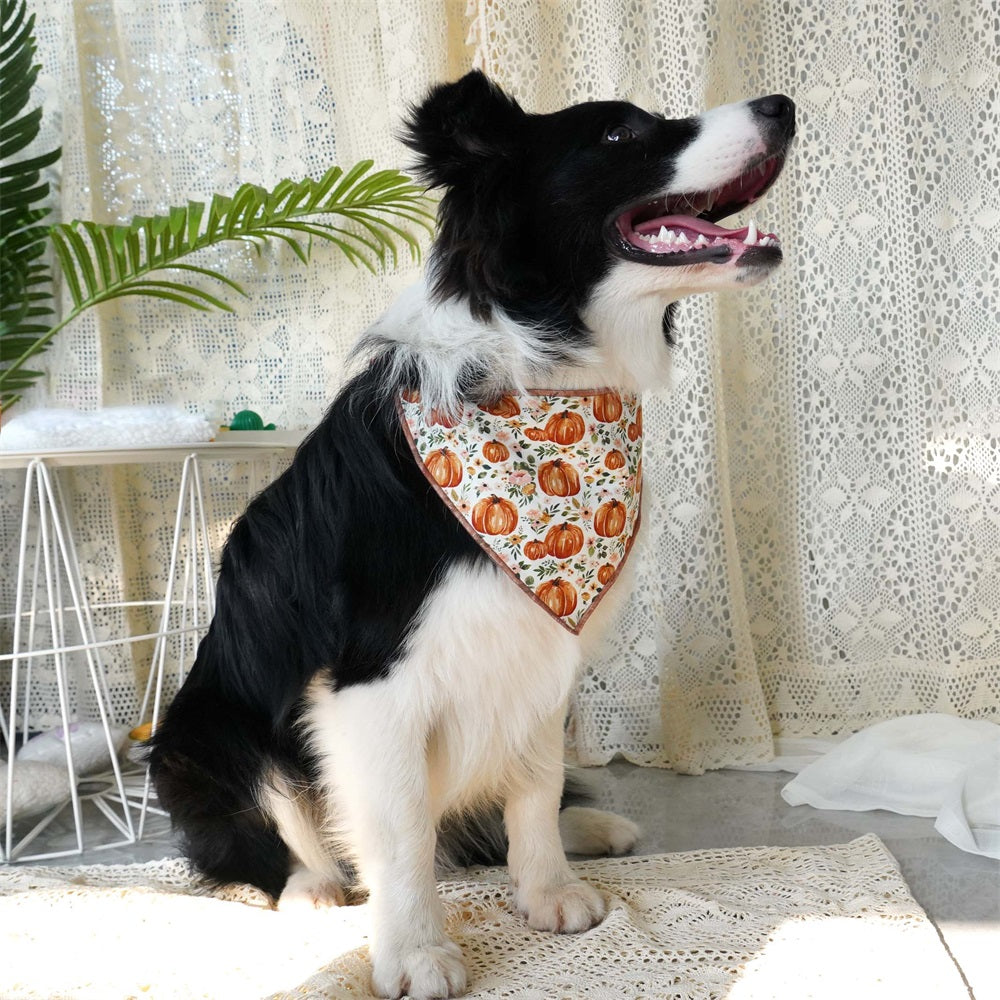 Autumn Pumpkin Dog Bandana dog scarf
