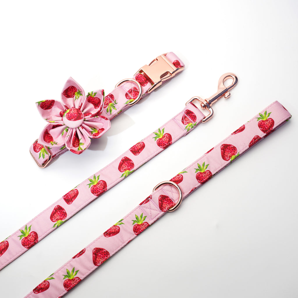 Diy personalized strawberry dog flower collar 