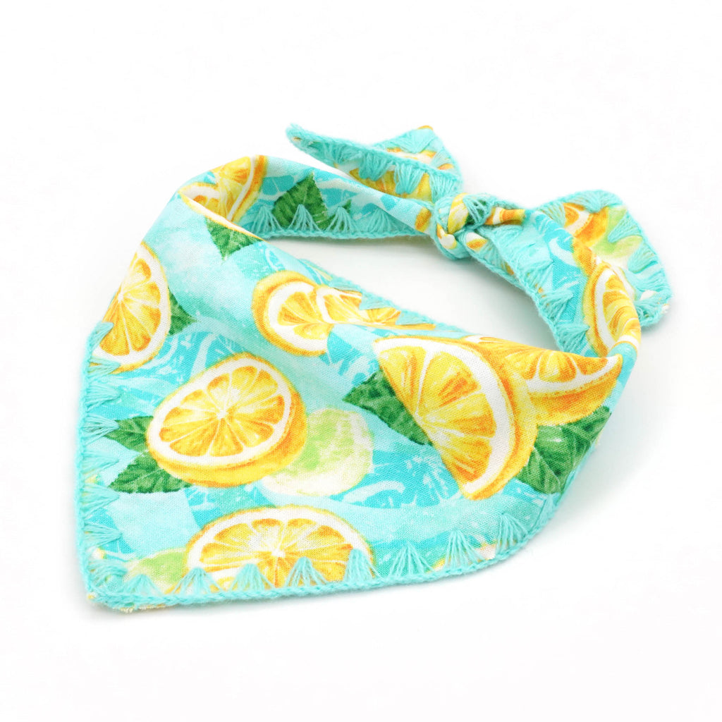 lemon dog bandana
