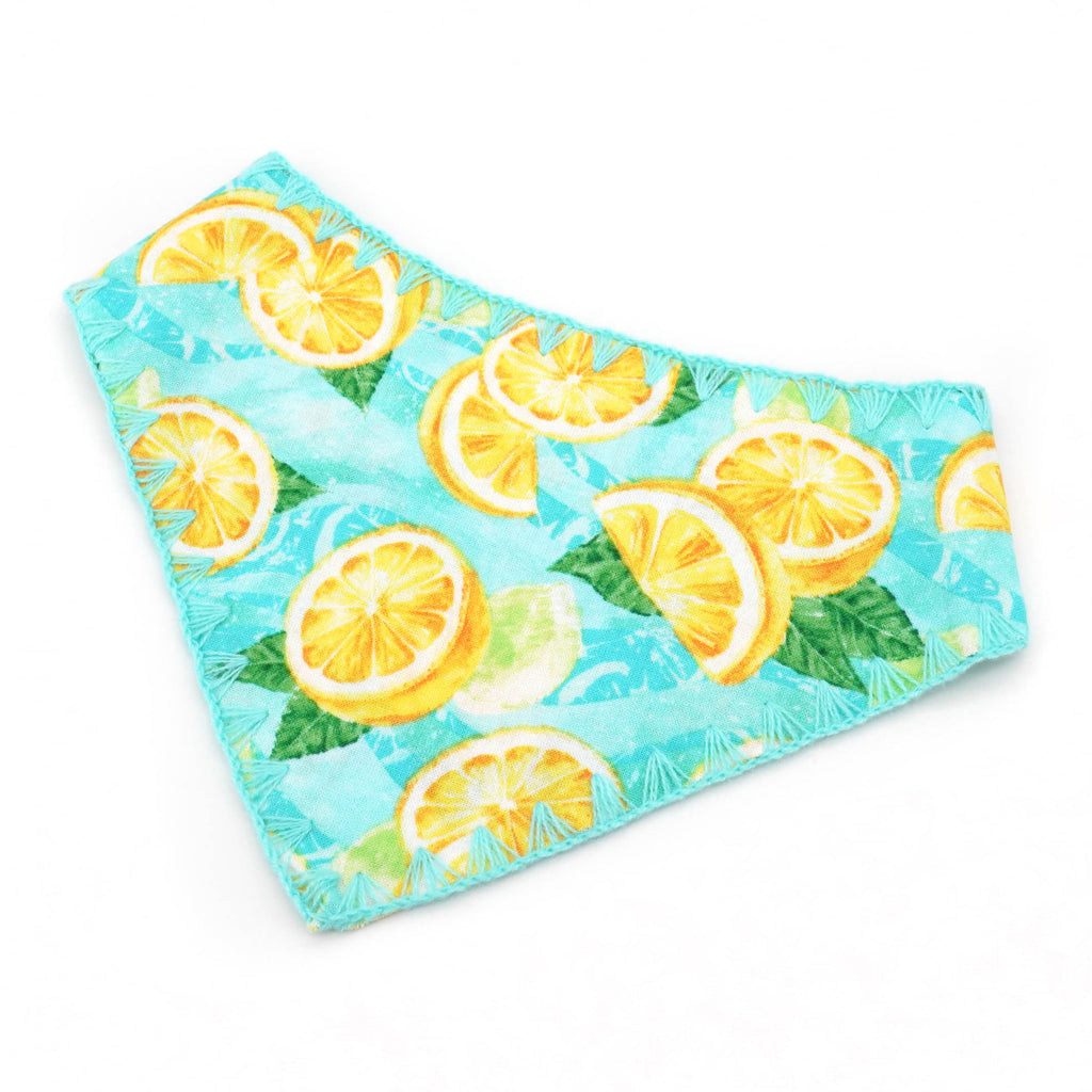 lemon dog bandana