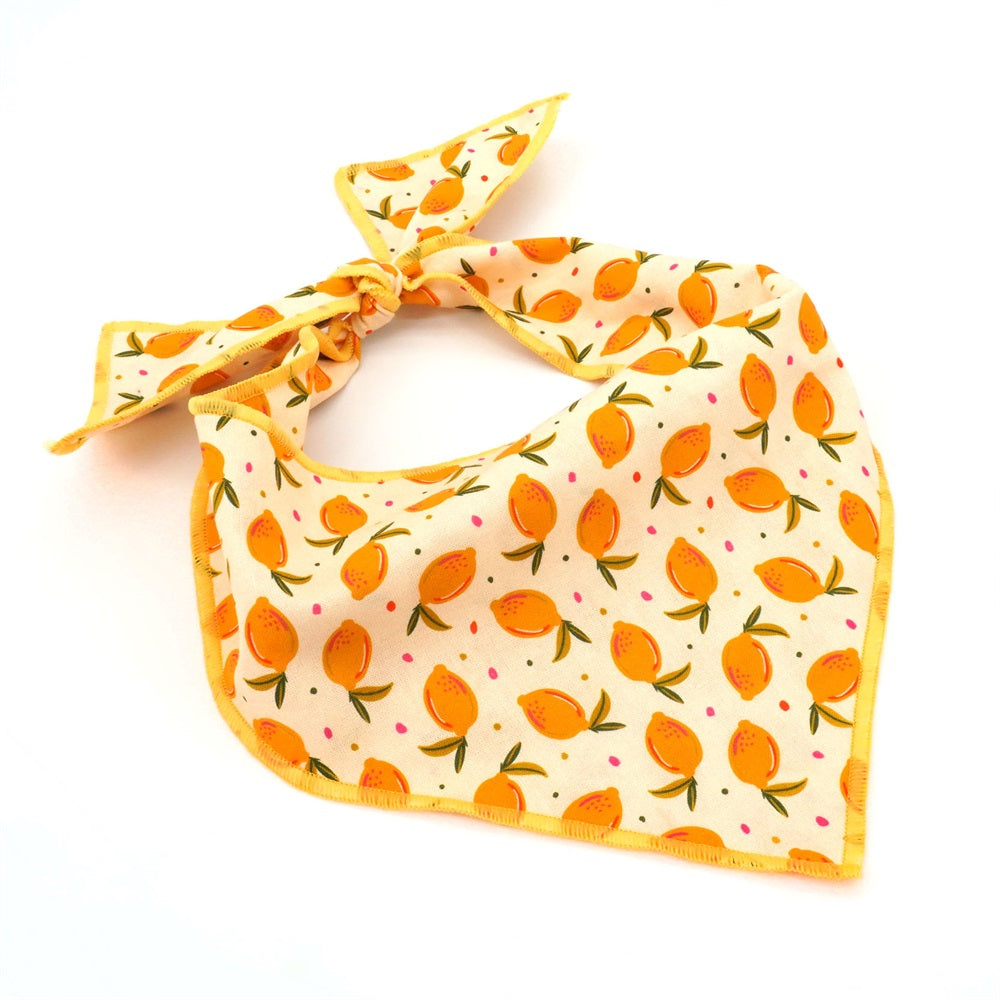 lemon bandana summer dog scarf 