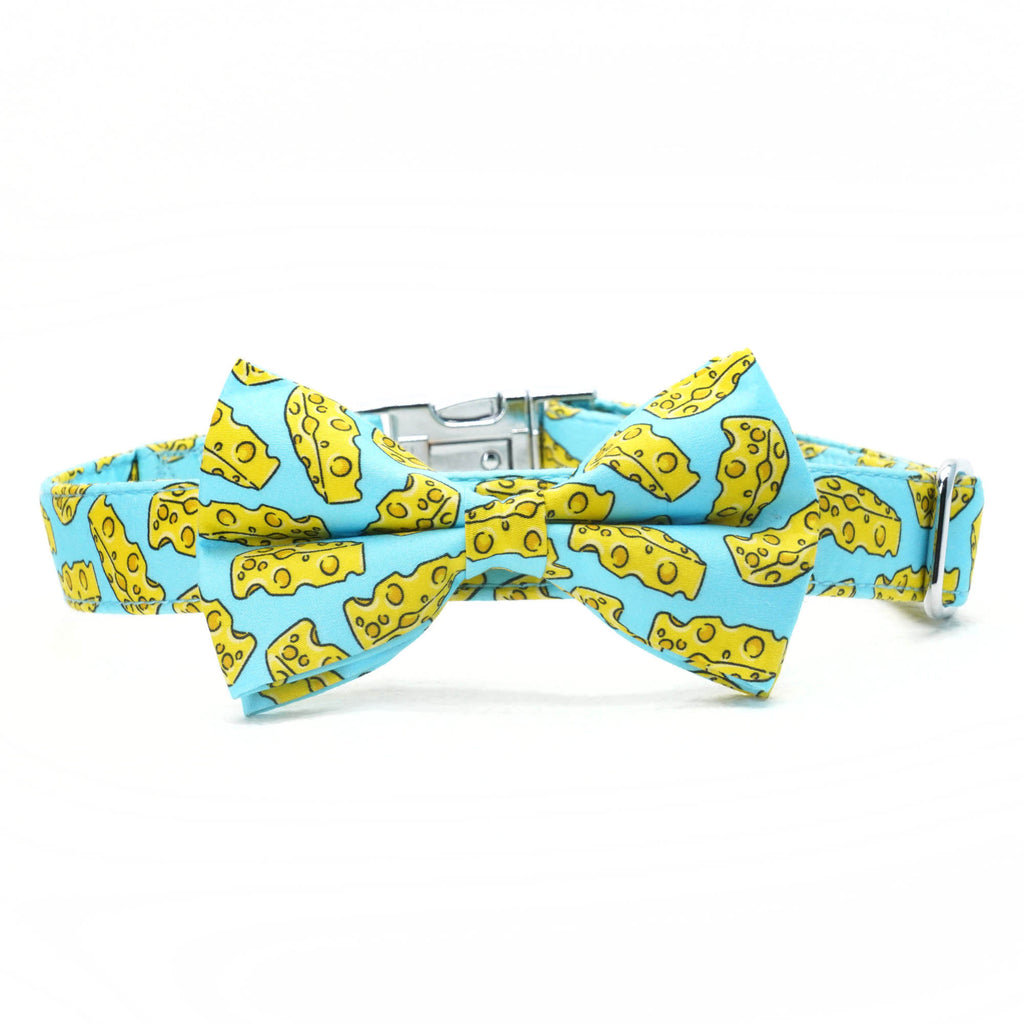 personalized cheese dog collar