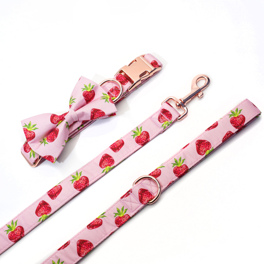 personalized dog collar charms strawberry